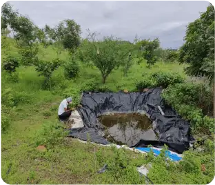 Volunteer planting sapling in green field area